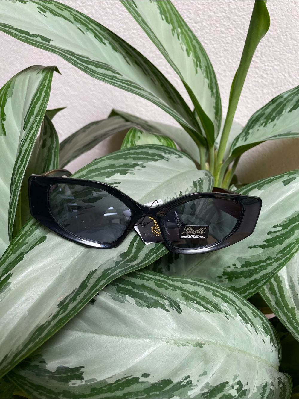 Black Cat-Eye Sunglasses